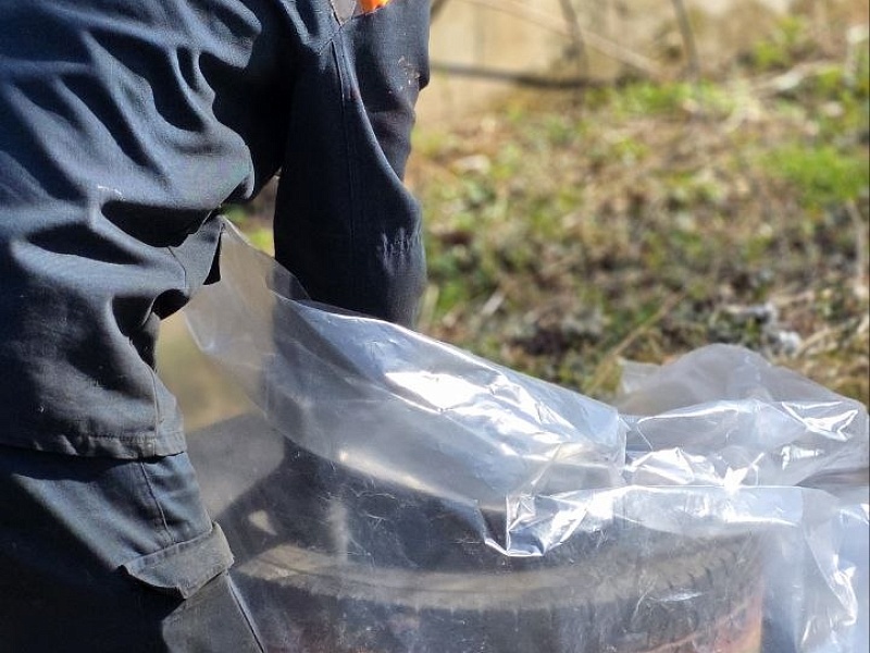 Могилевские лифтостроители активно включились в апрельский субботник - 2026!