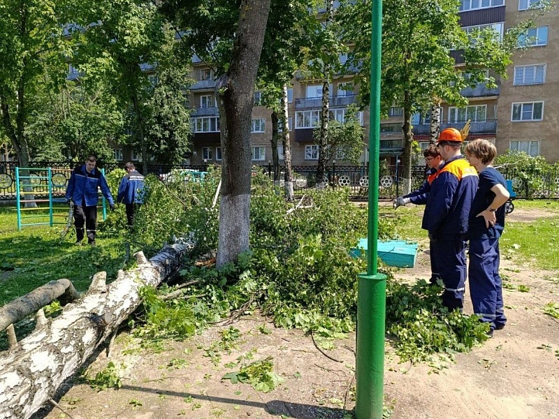 Заслуженная победа! «Энергия Добра» — лучший волонтерский отряд города! 