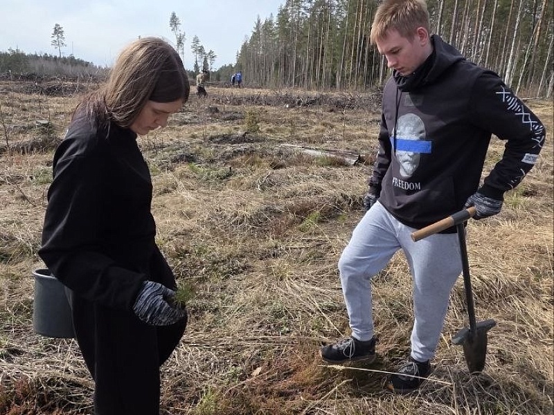 К республиканской акции «Лес! Дабро! Парадак!» присоединился трудовой коллектив ОАО "Могилевлифтмаш"