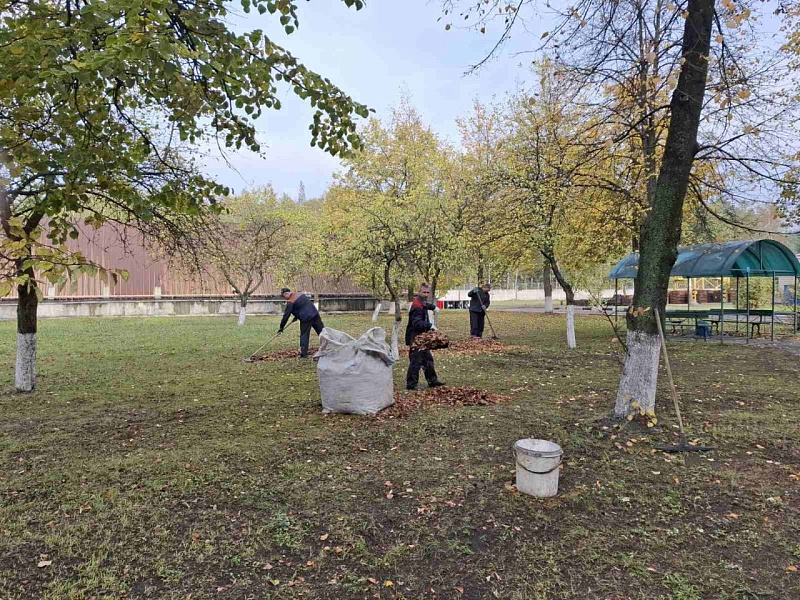 Первый осенний субботник