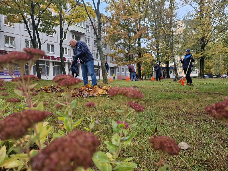 Первый осенний субботник