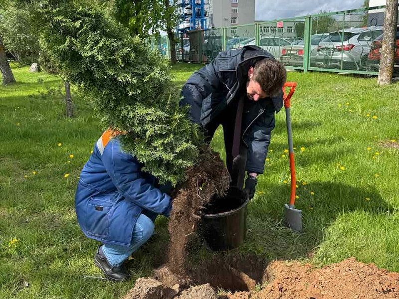Аллея Памяти на "Могилевлифтмаш": дань уважения Великой Победе