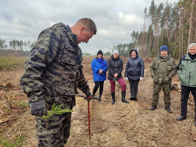 акции «ДАЙ ЛЕСУ НОВАЕ ЖЫЦЦЁ!».