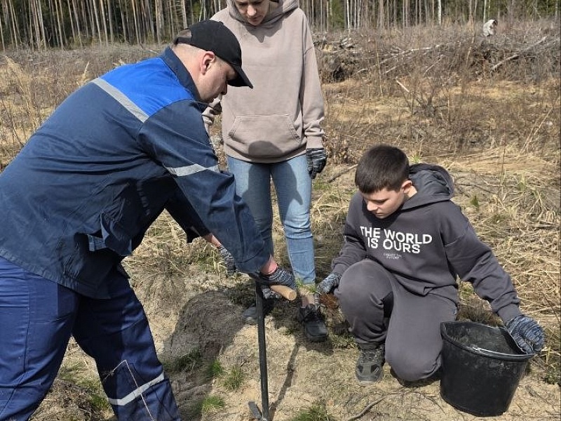 К республиканской акции «Лес! Дабро! Парадак!» присоединился трудовой коллектив ОАО "Могилевлифтмаш"