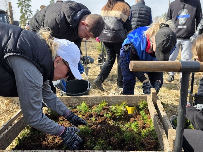 К республиканской акции «Лес! Дабро! Парадак!» присоединился трудовой коллектив ОАО "Могилевлифтмаш"
