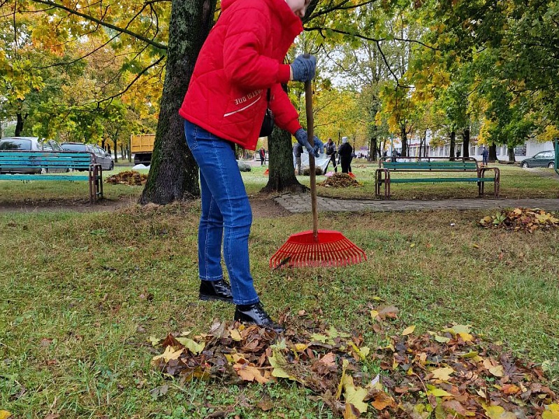 Первый осенний субботник