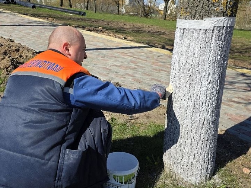 Хозяйский подход: коллектив ОАО «Могилевлифтмаш» благоустраивает заводскую территорию