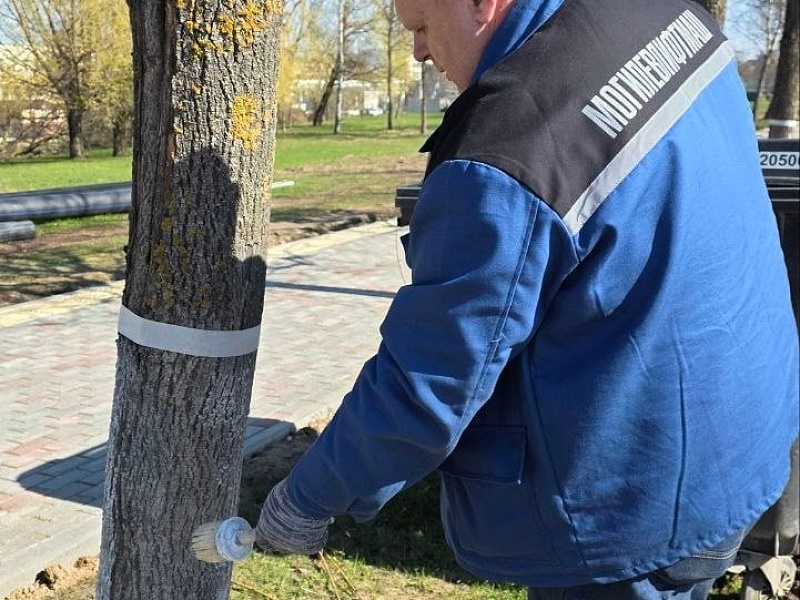Хозяйский подход: коллектив ОАО «Могилевлифтмаш» благоустраивает заводскую территорию