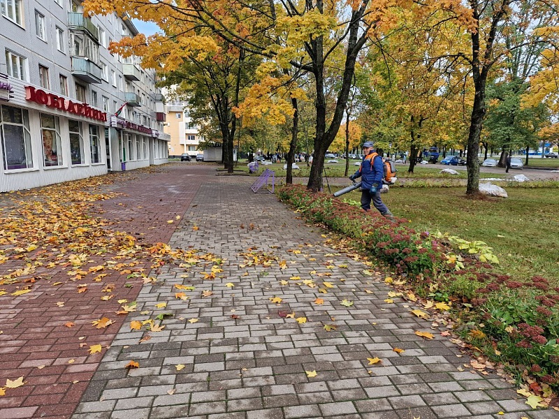 Первый осенний субботник
