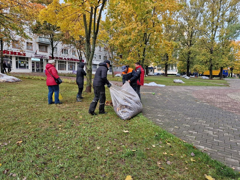 Первый осенний субботник
